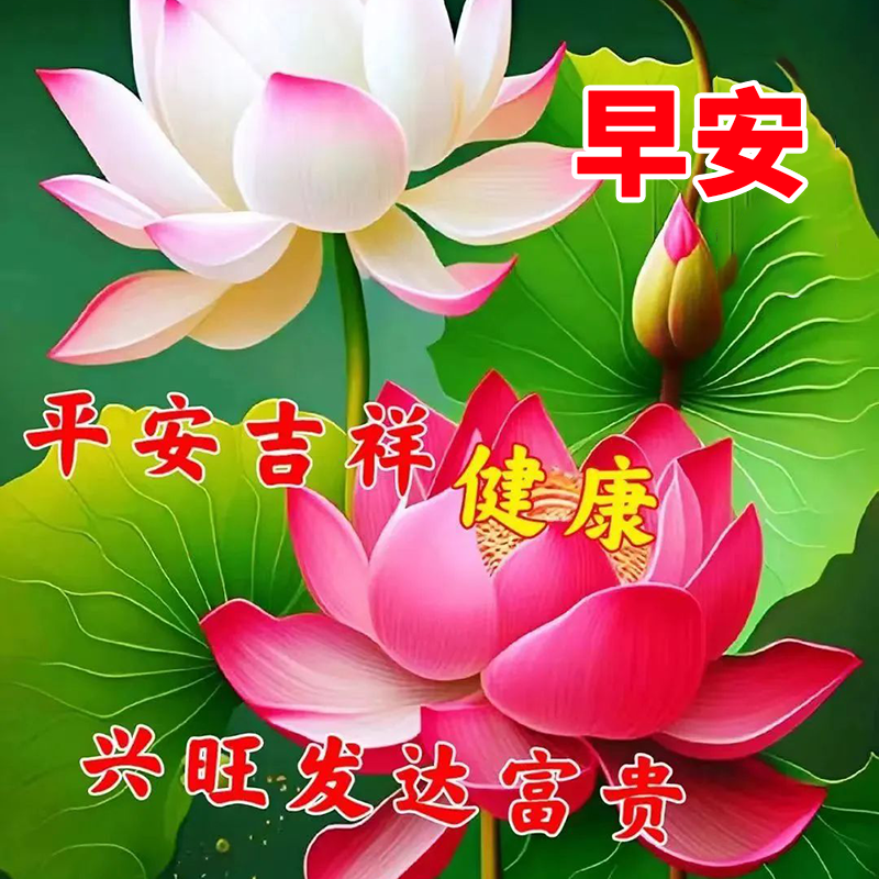 16张早安图片表情包！早上好祝福问候图片！早安吉祥愉快！