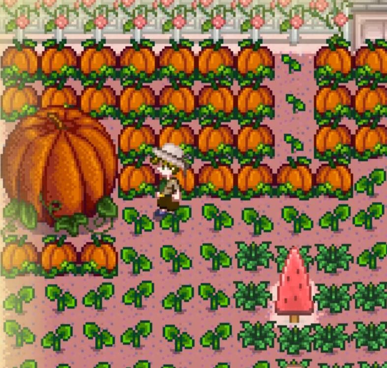 舒舒服服小岛时光 正版