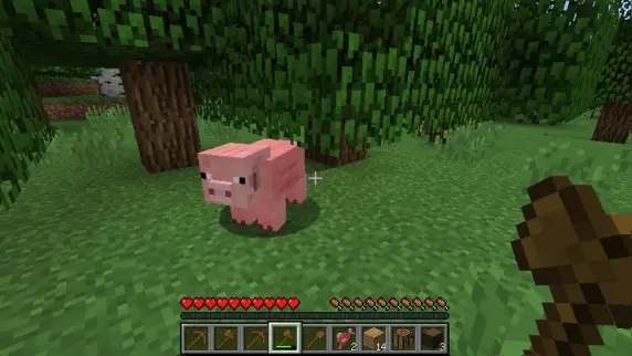 mc我的世界存档详细介绍