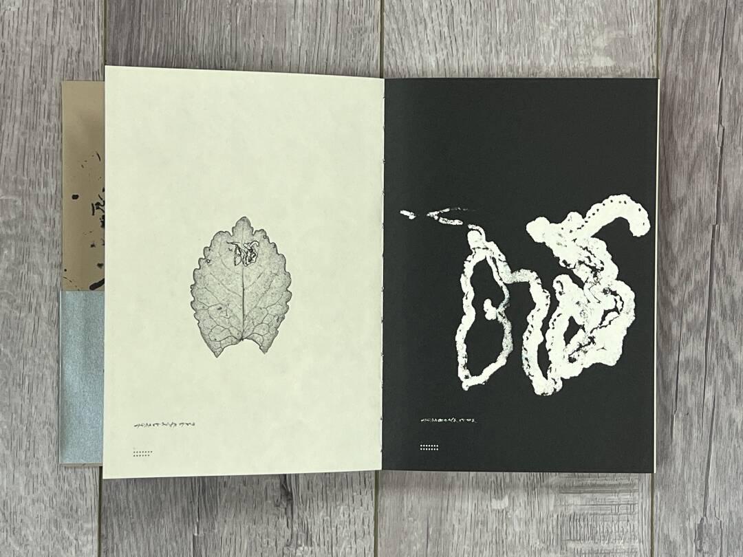 书籍居然能这样设计?金华这位大学老师带你开眼界