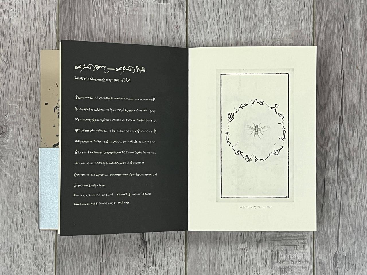 书籍居然能这样设计?金华这位大学老师带你开眼界