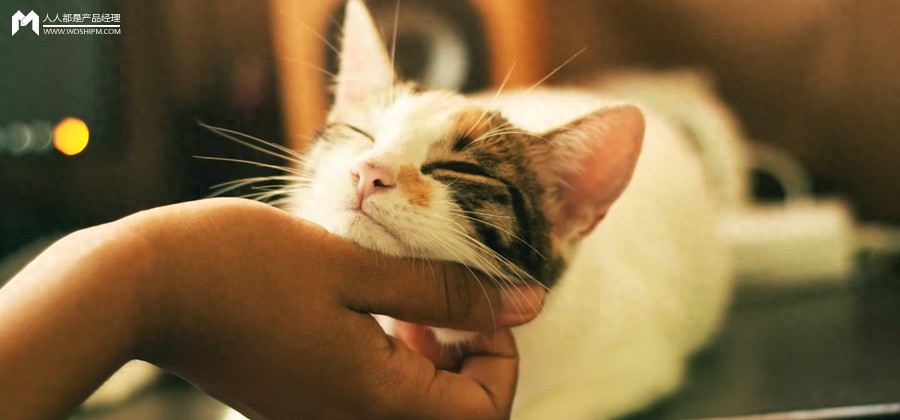 腾讯元器黑科技！4步搭建AI宠物喂养助手，新手也能变“养宠大神”