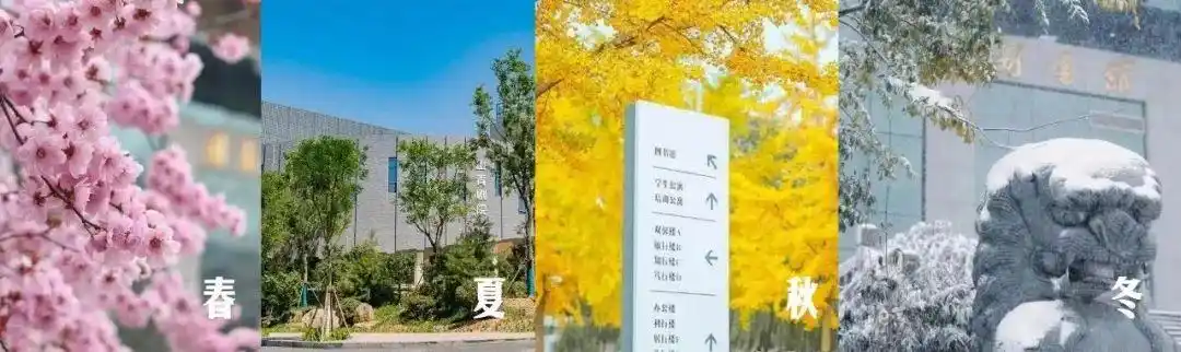 2024年，这些证书不容错过，值得考取~