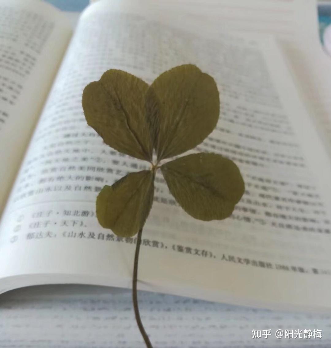 准备2025考研教育专硕，请问333教育综合统考科目应该怎么准备？