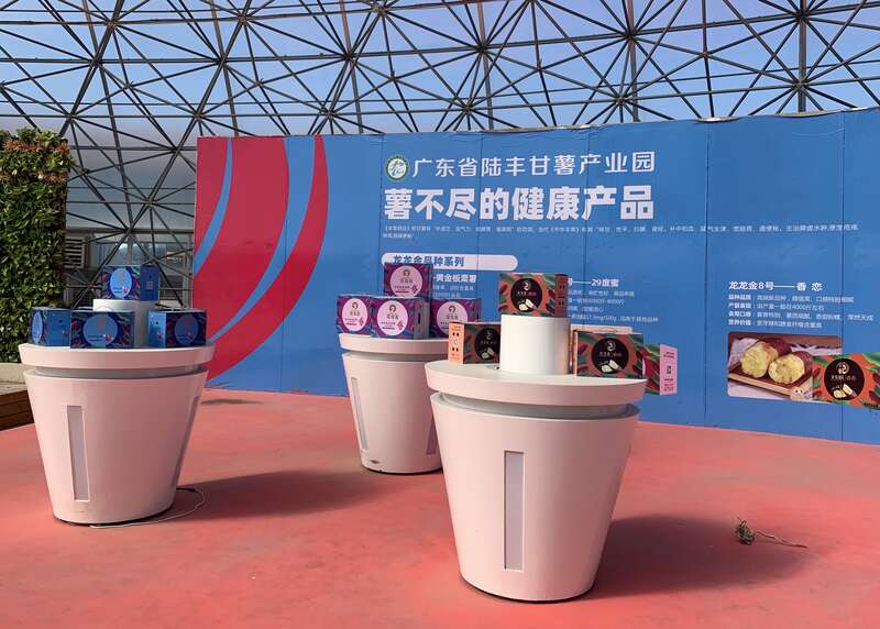 老区新貌 |  村居善美，海陆丰老区从经济“后进生”到“领跑者”