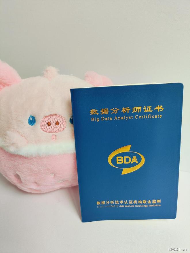 2025 年下半年,数据分析师证书的考试时间是多久?