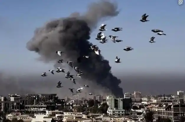 拉什迪遇刺事件背后的文学与宗教交响