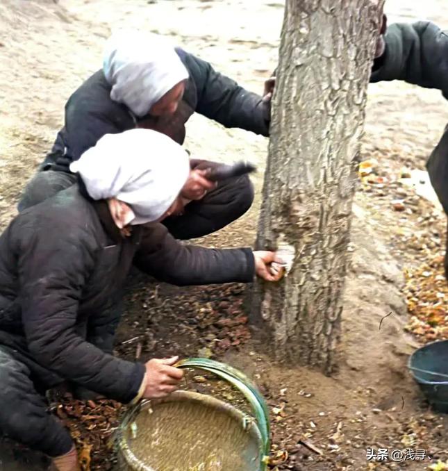 罕见老照片：被迫脱光衣服的女人站在男人堆里，女子门口笑脸迎客
