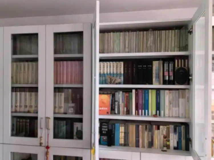 今天,我们为何依然深爱读书|上海书展特刊