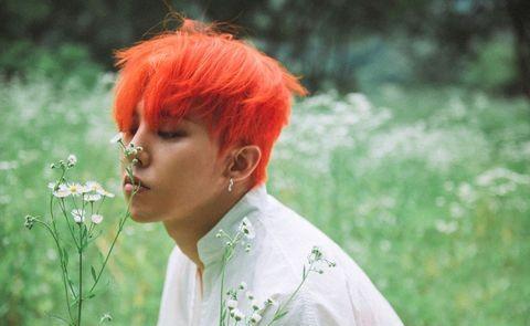 GD权志龙女友都有这项必备条件？韩流天王15年绯闻女友盘点