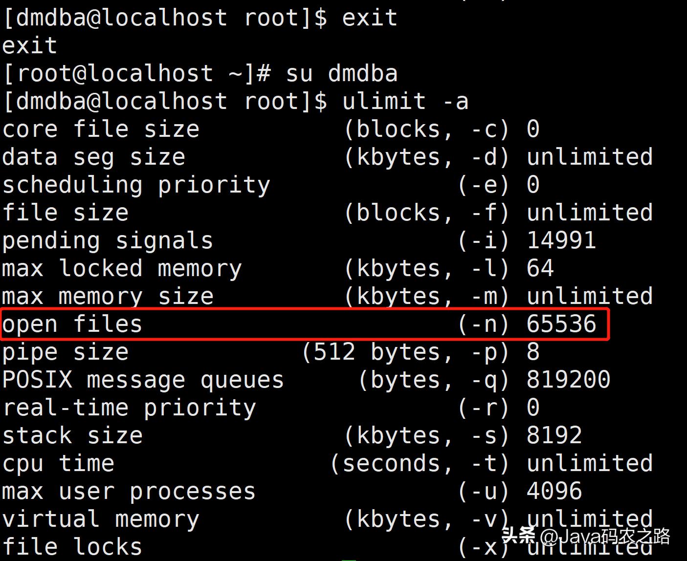 全网最详细达梦数据库安装使用教程