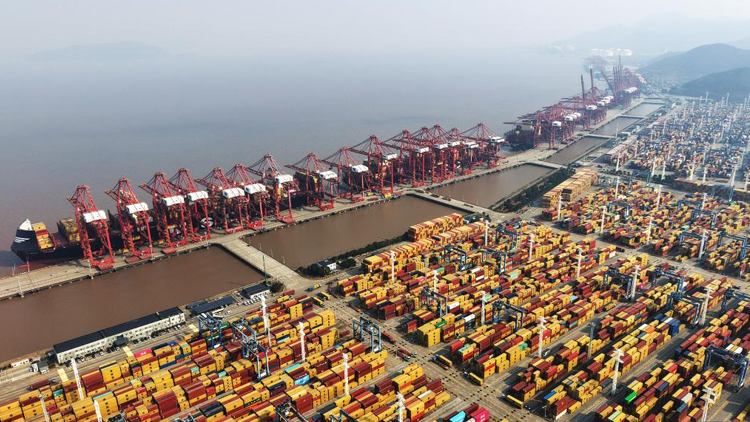 论文自己写，代笔骗子多！