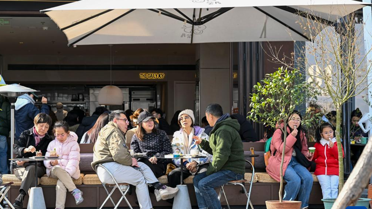 论文自己写，代笔骗子多！