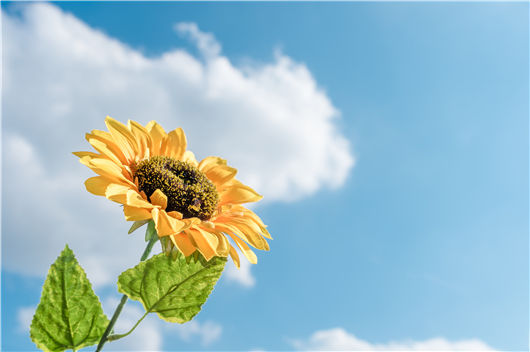 12星座父母更需要哪种陪伴