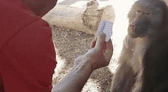 马赛克也挑颜值？王某和王女士的“打码”大战笑翻全场！