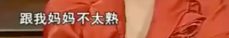 无人在意的角落，袁立阿姨确诊精神分裂了？