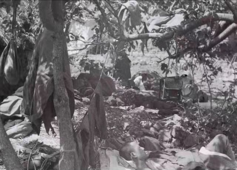 入城解放军睡在上海马路上的照片是谁拍的？他的革命生涯始于白雪照相馆