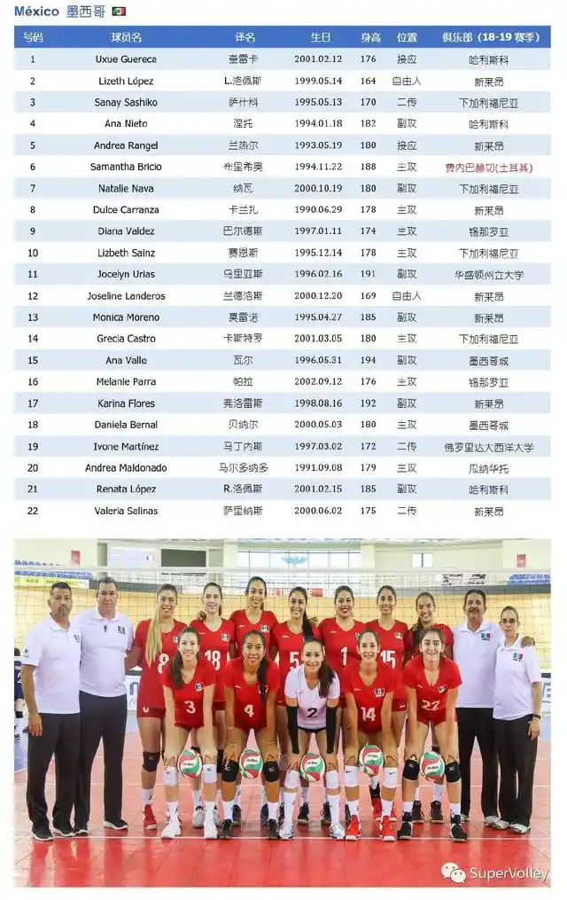 「2018女排世锦赛24强巡礼Ⅱ」日本、墨西哥＆荷兰