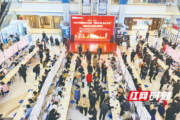 天元区今年首场线下招聘会举行  821人达成就业意向