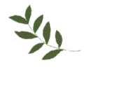 心理健康科普第25期:正确认识职业心理健康