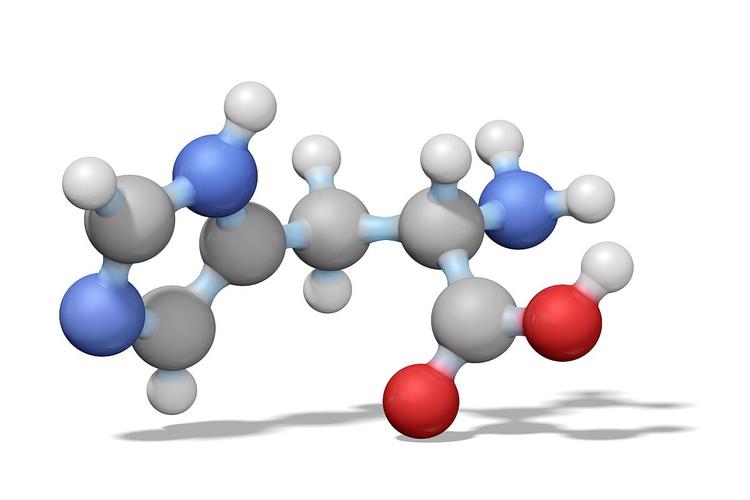 H2O2介导在低温下,对茄子产生的氧化应激感知以及抵抗力中的积累