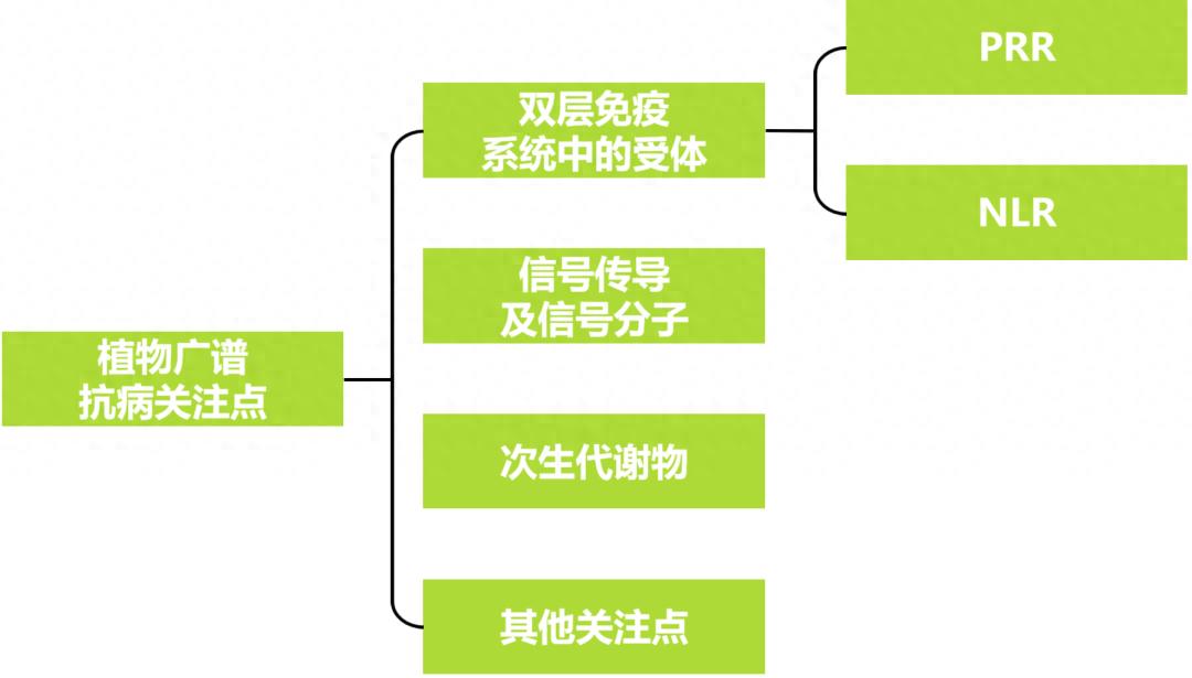 植物广谱抗病研究的核心关注点
