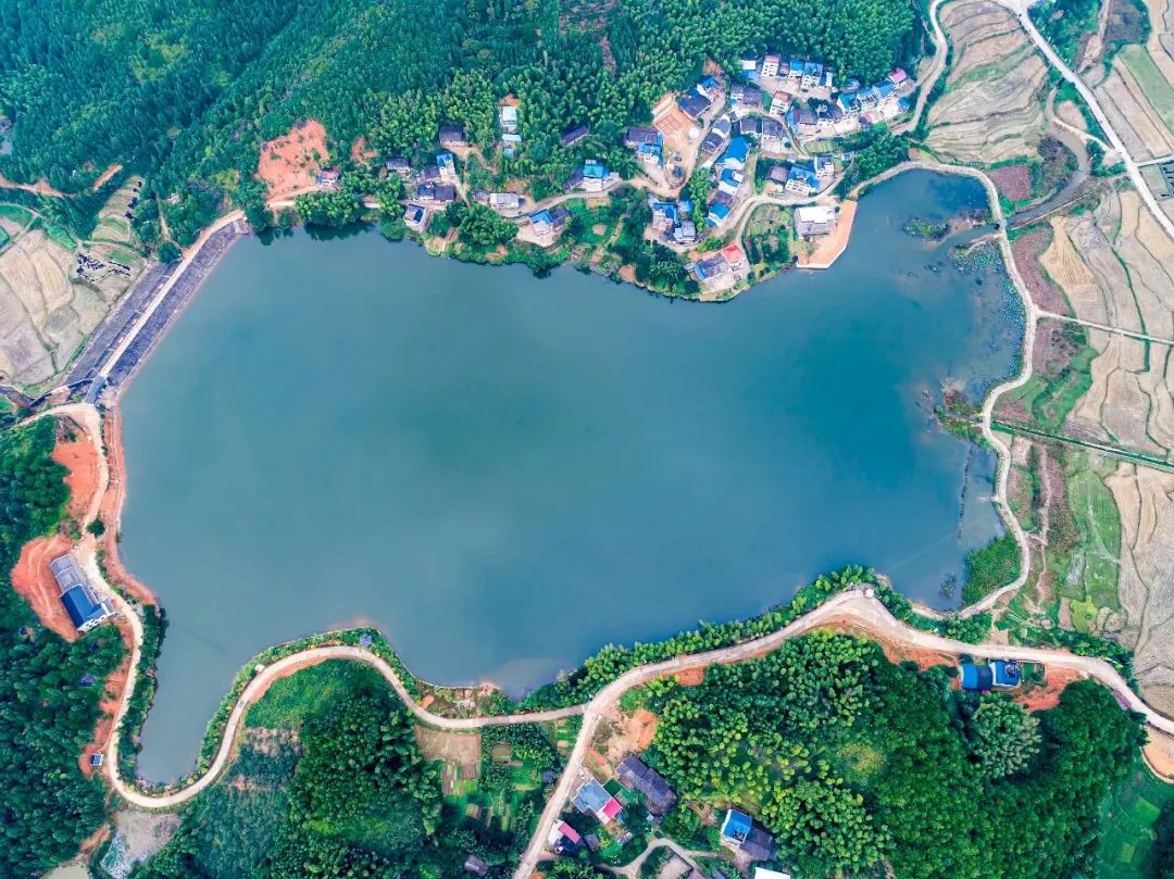 浦城：​“乡贤+”绘就乡村振兴新画卷