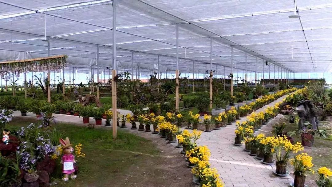 浦城：​“乡贤+”绘就乡村振兴新画卷