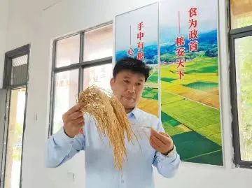 浦城：​“乡贤+”绘就乡村振兴新画卷