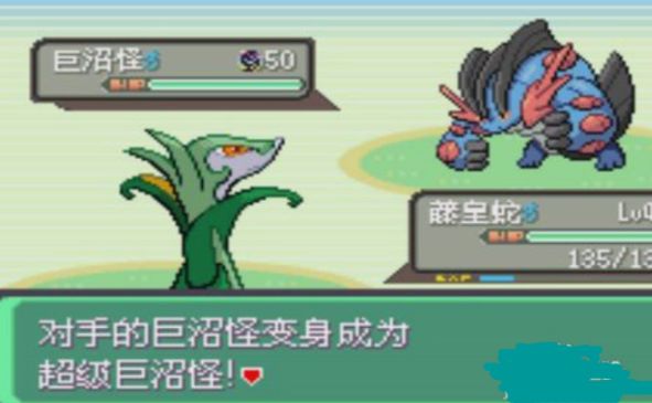 口袋妖怪究极绿宝石