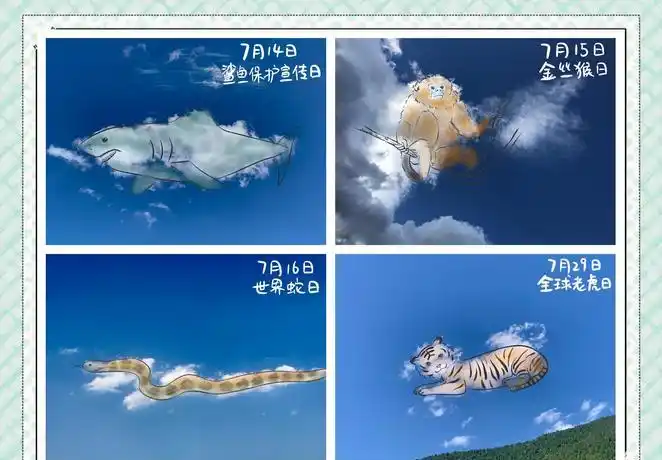 7月27日逆转之夜:被低估的主队如何拼出奇迹