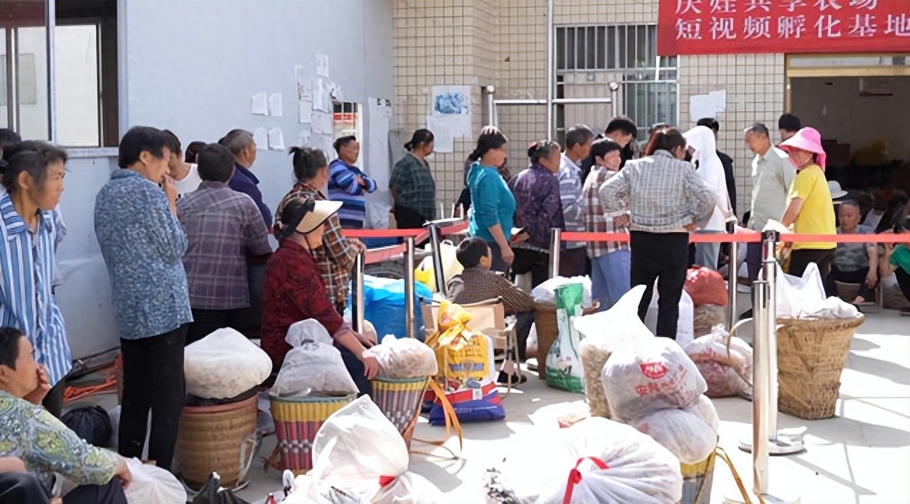 「达州」万源：直播带货走进院坝 农副产品插上“云翅膀”