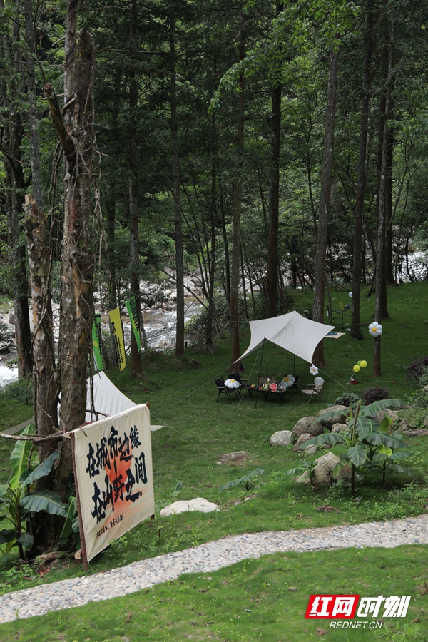 避暑康养到湖南③丨株洲：炎陵神农谷&茶陵花湖谷 夏日消暑好去处