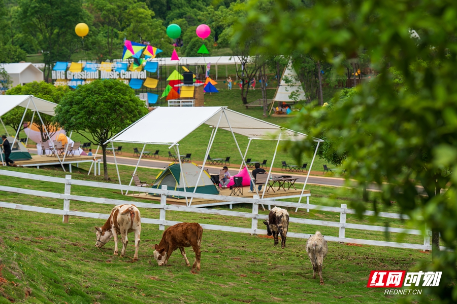 避暑康养到湖南③丨株洲：炎陵神农谷&茶陵花湖谷 夏日消暑好去处