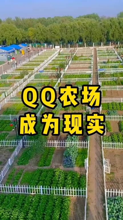 qq农场怎么升级蓝晶土地