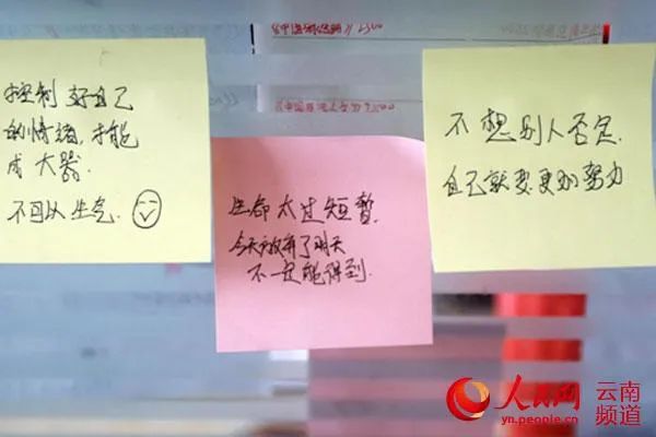 初高中学历骗子代写代发论文，两年获利超600万……