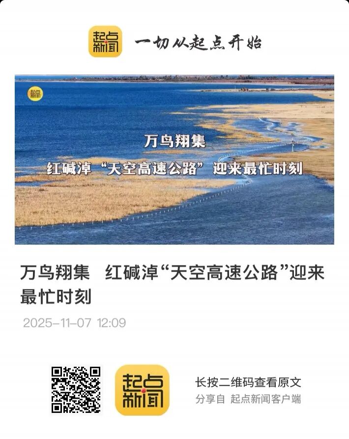 央视迎来两位新主播