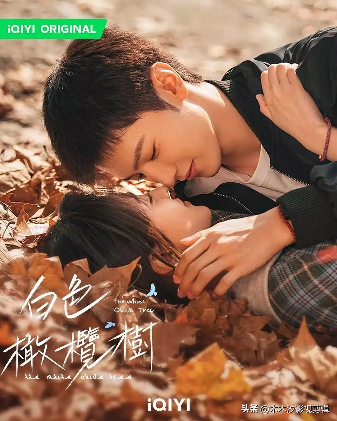 必看！2025年8部高口碑“都市爱情剧”，邂逅浪漫，感动满满！