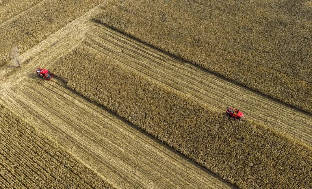 重磅!2025年度榆林十大新闻来了,看看都有哪些~