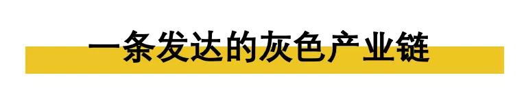 美国版翟天临竟这么多！《纽约时报》揭露美国论文代写作弊丑闻