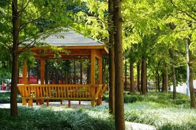 潍坊中学2021年高中招生简章