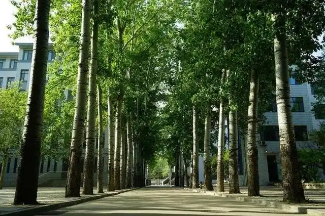 潍坊中学2021年高中招生简章