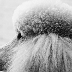 家庭遭受重大意外事件包括