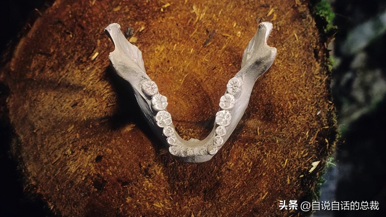 南极：地心人、血瀑布……随着今年科考深入南极却变得越来越神秘