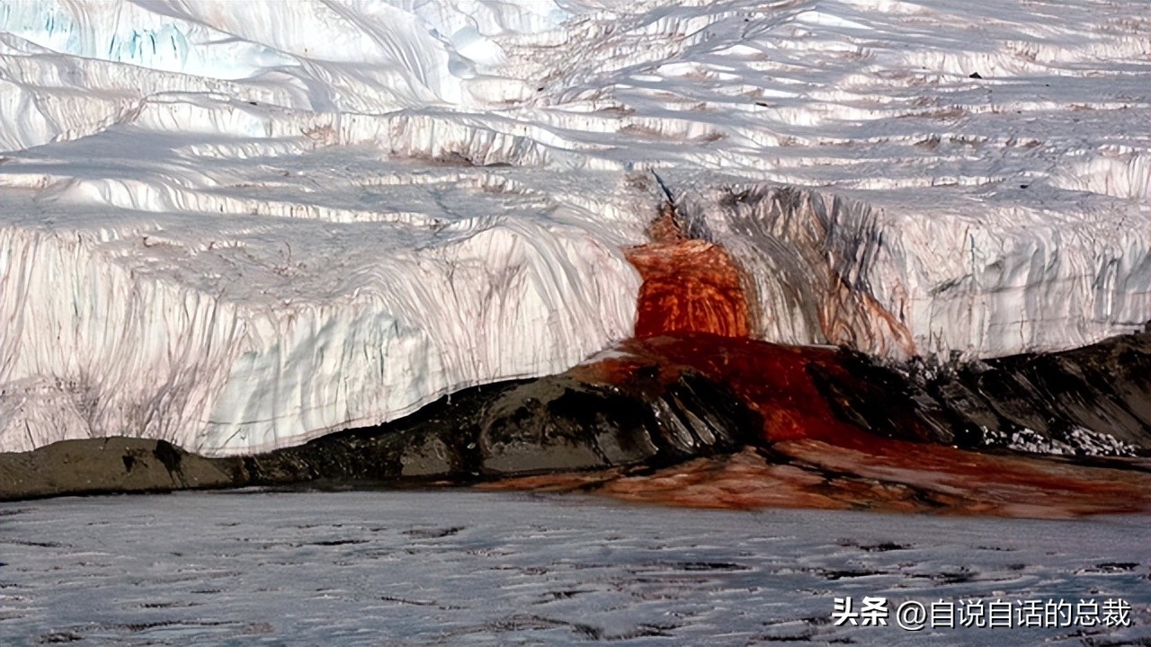 南极：地心人、血瀑布……随着今年科考深入南极却变得越来越神秘