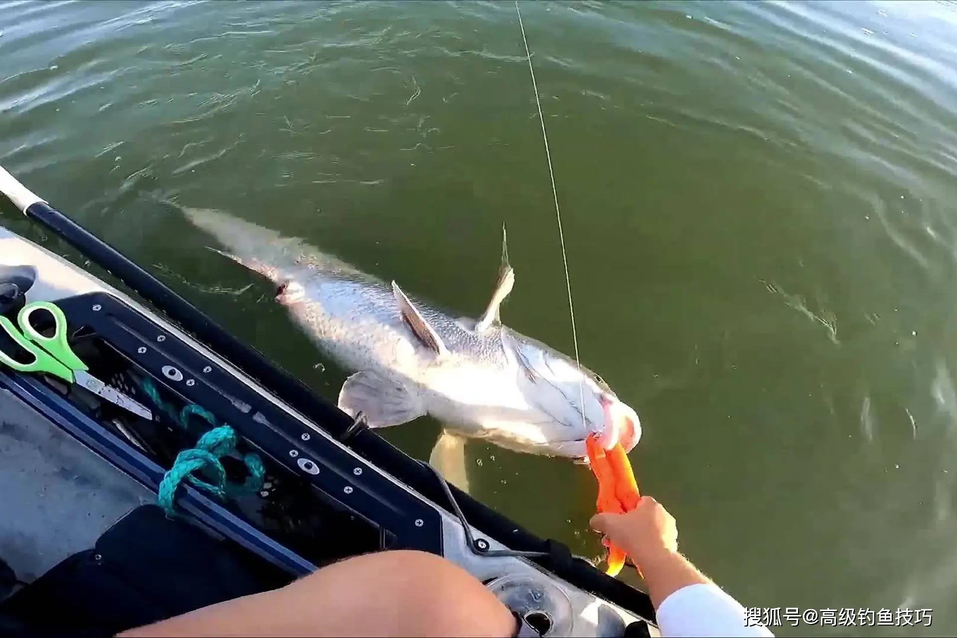 海钓技巧的4句口诀，简单实用钓鱼多