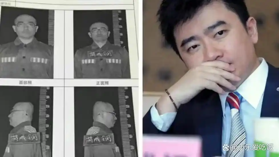 回顾央视名嘴芮成钢:因贪污受贿入狱6年,出狱后年薪300万引争议