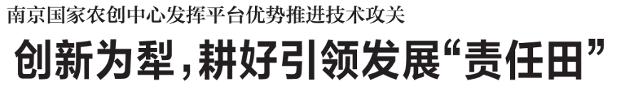 每月一得｜新闻标题如何向“新”而行