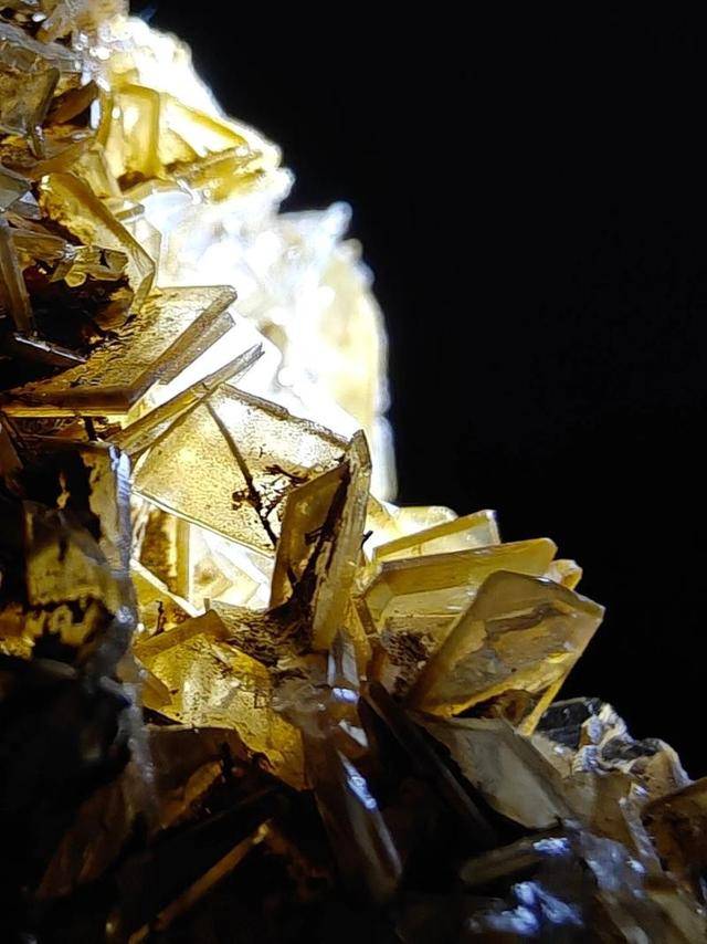 开打!荷兰剥夺中方控制权,除氟石和铋外,北京还有5张反制王牌