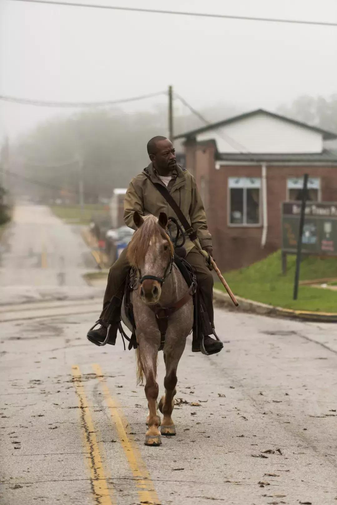 十年时间能做什么?把《行尸走肉》从神剧变成烂剧